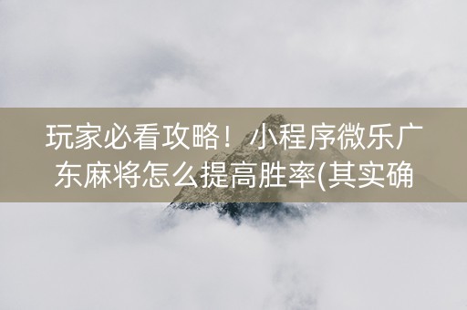 玩家必看攻略！小程序微乐广东麻将怎么提高胜率(其实确实有挂)