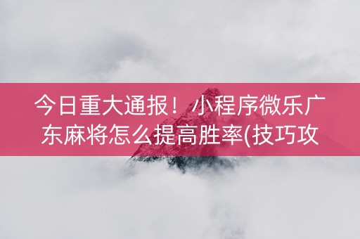 今日重大通报！小程序微乐广东麻将怎么提高胜率(技巧攻略怎样拿好牌)