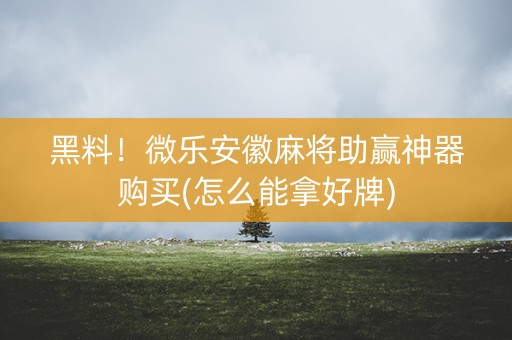 黑料！微乐安徽麻将助赢神器购买(怎么能拿好牌)