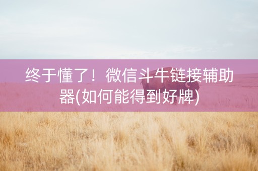 终于懂了！微信斗牛链接辅助器(如何能得到好牌)
