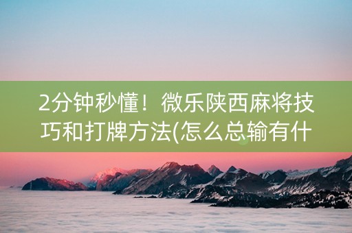 2分钟秒懂！微乐陕西麻将技巧和打牌方法(怎么总输有什么猫腻)