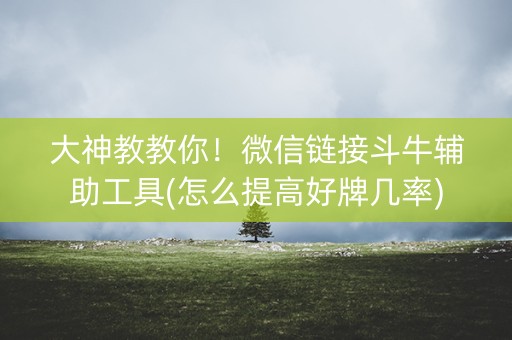 大神教教你！微信链接斗牛辅助工具(怎么提高好牌几率)