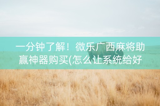 一分钟了解！微乐广西麻将助赢神器购买(怎么让系统给好牌)