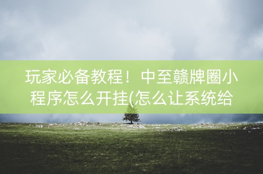 玩家必备教程！中至赣牌圈小程序怎么开挂(怎么让系统给你发好牌)