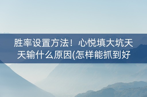 胜率设置方法！心悦填大坑天天输什么原因(怎样能抓到好牌)