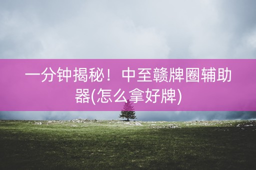 一分钟揭秘！中至赣牌圈辅助器(怎么拿好牌)
