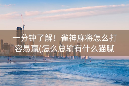 一分钟了解！雀神麻将怎么打容易赢(怎么总输有什么猫腻)