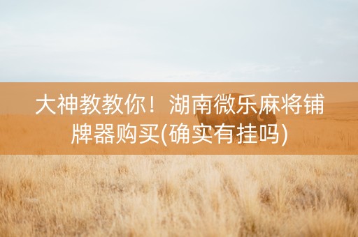 大神教教你！湖南微乐麻将铺牌器购买(确实有挂吗)