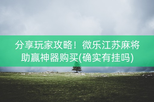 分享玩家攻略！微乐江苏麻将助赢神器购买(确实有挂吗)