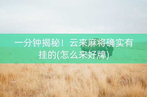 一分钟揭秘！云来麻将确实有挂的(怎么来好牌)