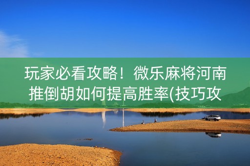 玩家必看攻略！微乐麻将河南推倒胡如何提高胜率(技巧攻略怎样拿好牌)