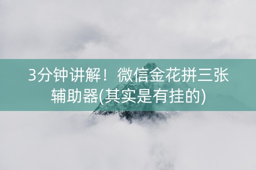 3分钟讲解！微信金花拼三张辅助器(其实是有挂的)
