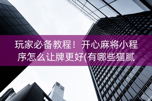 玩家必备教程！开心麻将小程序怎么让牌更好(有哪些猫腻)
