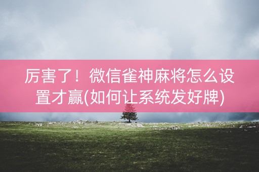 厉害了！微信雀神麻将怎么设置才赢(如何让系统发好牌)