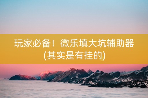 玩家必备！微乐填大坑辅助器(其实是有挂的)