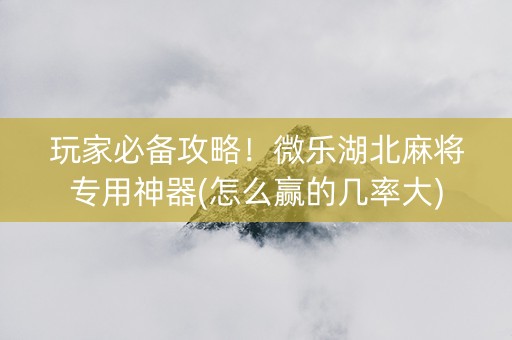 玩家必备攻略！微乐湖北麻将专用神器(怎么赢的几率大)