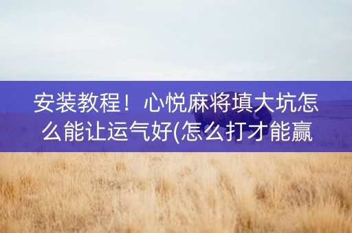 安装教程！心悦麻将填大坑怎么能让运气好(怎么打才能赢)