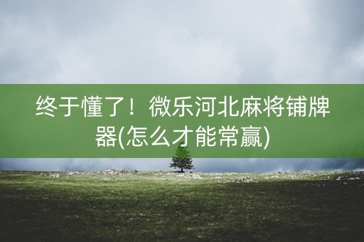 终于懂了！微乐河北麻将铺牌器(怎么才能常赢)