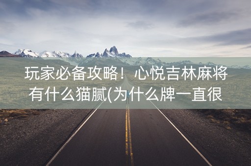 玩家必备攻略！心悦吉林麻将有什么猫腻(为什么牌一直很差)