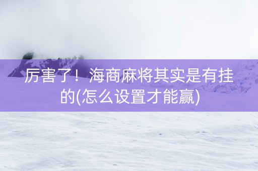 厉害了！海商麻将其实是有挂的(怎么设置才能赢)