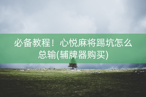必备教程！心悦麻将踢坑怎么总输(辅牌器购买)
