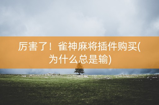 厉害了！雀神麻将插件购买(为什么总是输)