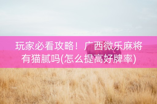 玩家必看攻略！广西微乐麻将有猫腻吗(怎么提高好牌率)