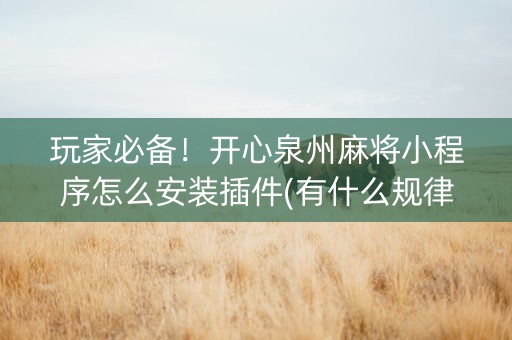 玩家必备！开心泉州麻将小程序怎么安装插件(有什么规律)