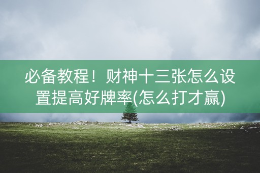 必备教程！财神十三张怎么设置提高好牌率(怎么打才赢)