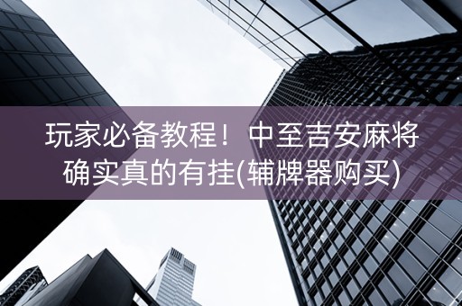 玩家必备教程！中至吉安麻将确实真的有挂(辅牌器购买)