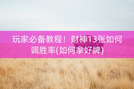 玩家必备教程！财神13张如何调胜率(如何拿好牌)