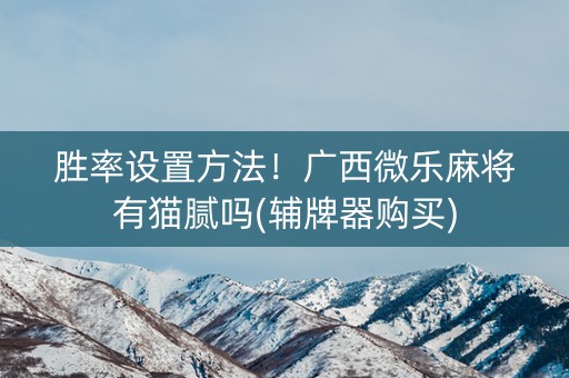 胜率设置方法！广西微乐麻将有猫腻吗(辅牌器购买)