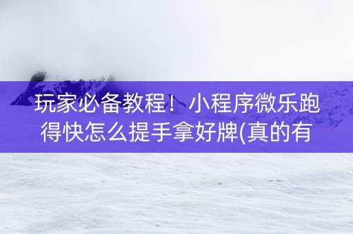 玩家必备教程！小程序微乐跑得快怎么提手拿好牌(真的有挂确实有挂)