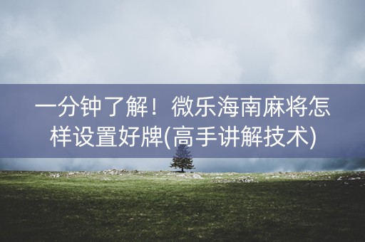 一分钟了解！微乐海南麻将怎样设置好牌(高手讲解技术)