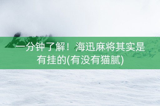 一分钟了解！海迅麻将其实是有挂的(有没有猫腻)