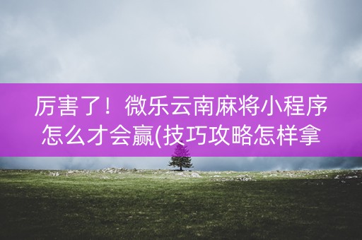 厉害了！微乐云南麻将小程序怎么才会赢(技巧攻略怎样拿好牌)