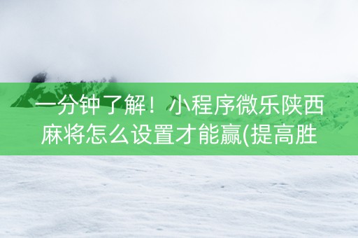 一分钟了解！小程序微乐陕西麻将怎么设置才能赢(提高胜率软件)