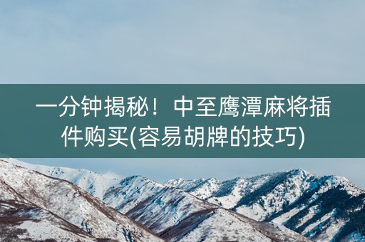 一分钟揭秘！中至鹰潭麻将插件购买(容易胡牌的技巧)