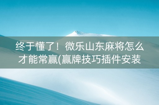 终于懂了！微乐山东麻将怎么才能常赢(赢牌技巧插件安装)