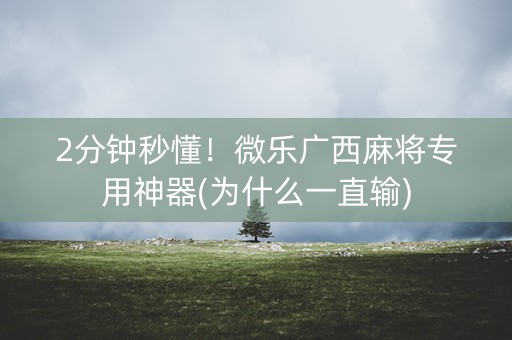 2分钟秒懂！微乐广西麻将专用神器(为什么一直输)