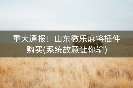重大通报！山东微乐麻将插件购买(系统故意让你输)