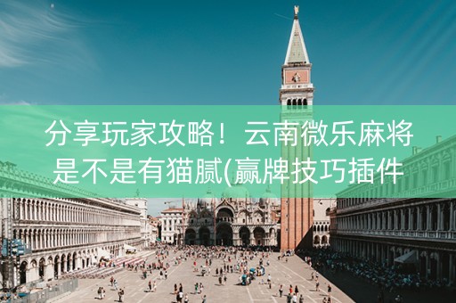 分享玩家攻略！云南微乐麻将是不是有猫腻(赢牌技巧插件安装)