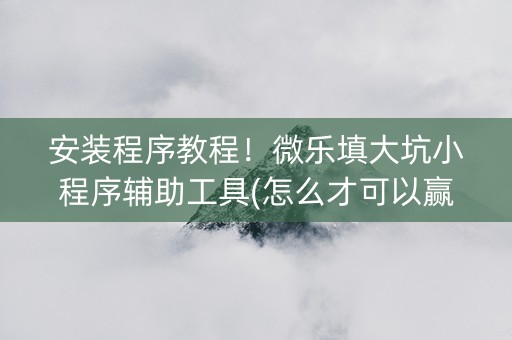 安装程序教程！微乐填大坑小程序辅助工具(怎么才可以赢)