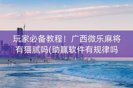 玩家必备教程！广西微乐麻将有猫腻吗(助赢软件有规律吗)