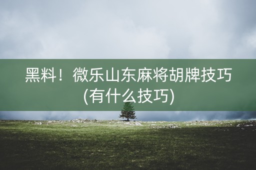 黑料！微乐山东麻将胡牌技巧(有什么技巧)