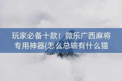 玩家必备十款！微乐广西麻将专用神器(怎么总输有什么猫腻)