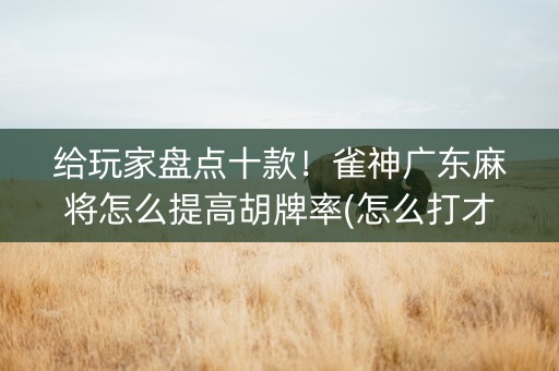 给玩家盘点十款！雀神广东麻将怎么提高胡牌率(怎么打才能赢)