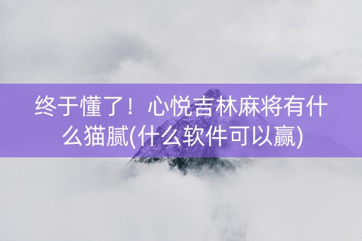 终于懂了！心悦吉林麻将有什么猫腻(什么软件可以赢)