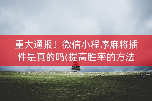 重大通报！微信小程序麻将插件是真的吗(提高胜率的方法)