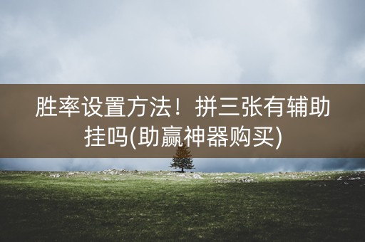胜率设置方法！拼三张有辅助挂吗(助赢神器购买)